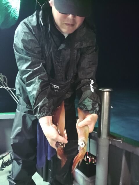 イカ(ケンサキイカ)