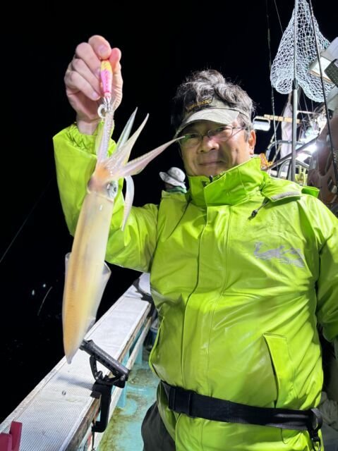 マイカ(ケンサキイカ)