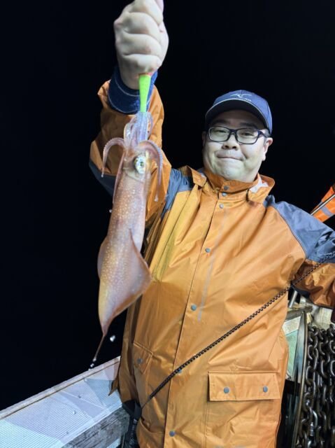 マイカ(ケンサキイカ)