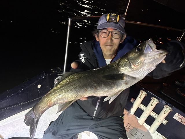 シーバス(スズキ)