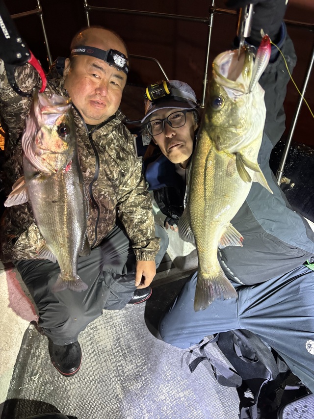 シーバス(スズキ)