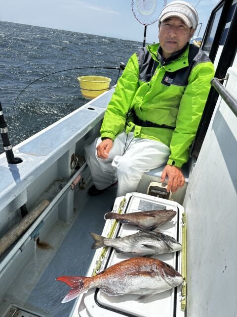 マダイ・クロダイ