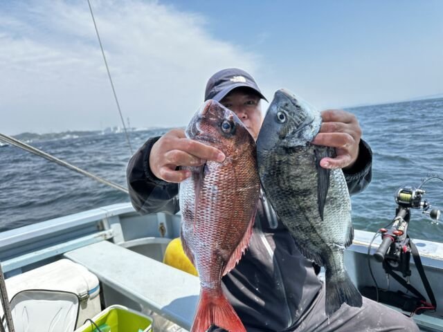 マダイ・クロダイ