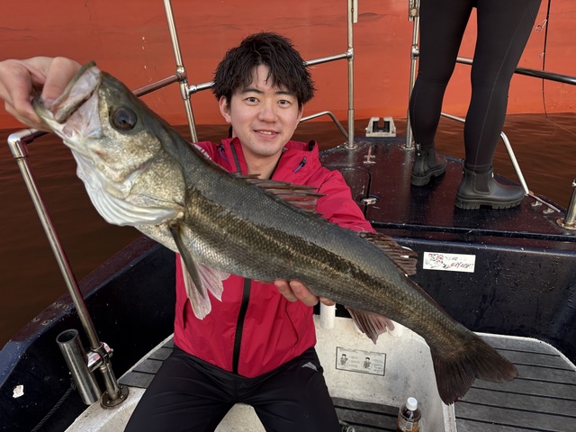 シーバス(スズキ)