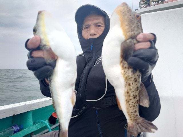 アカメフグ・ショウサイフグ