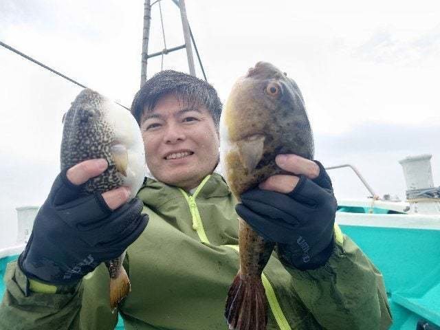 アカメフグ・ショウサイフグ