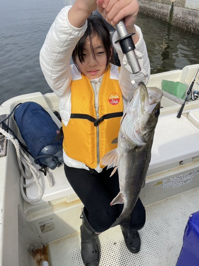 シーバス(スズキ)