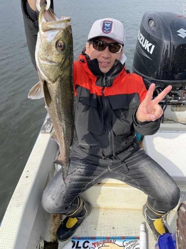 シーバス(スズキ)