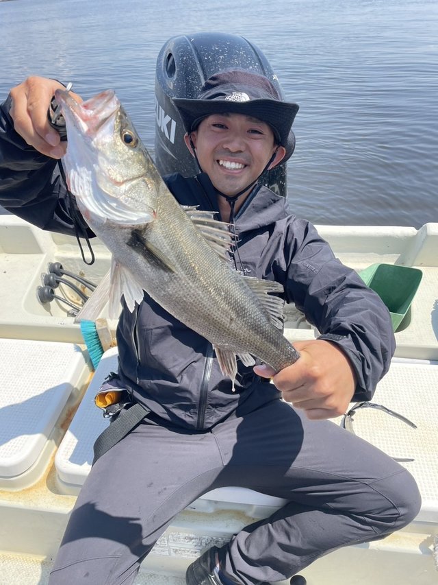 シーバス(スズキ)