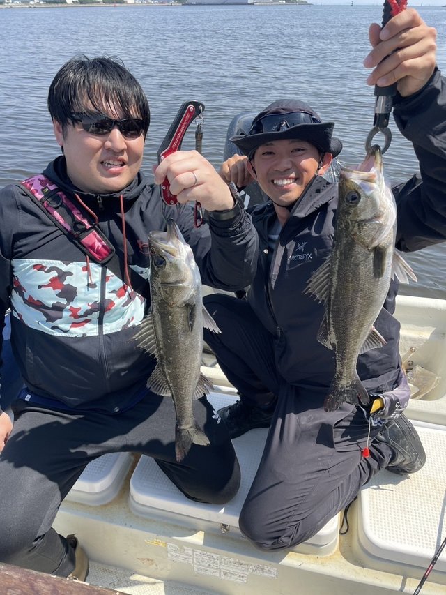 シーバス(スズキ)