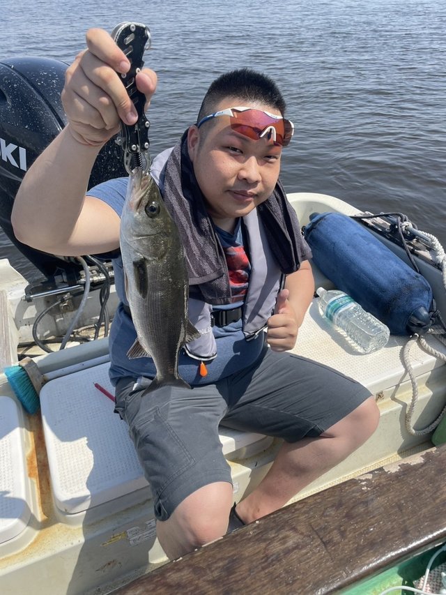 シーバス(スズキ)