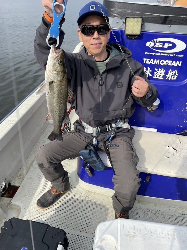 シーバス(スズキ)