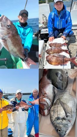 マダイ・クロダイ・メジナ