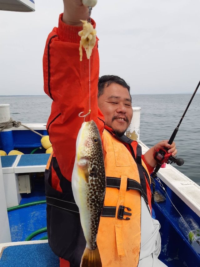 フグ(ショウサイフグ)