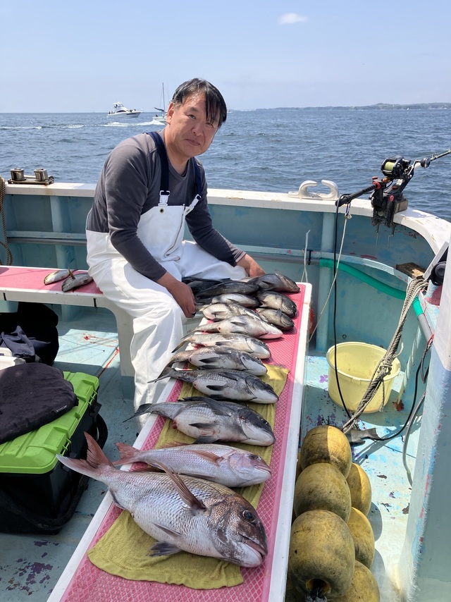 マダイ・クロダイ・メジナ