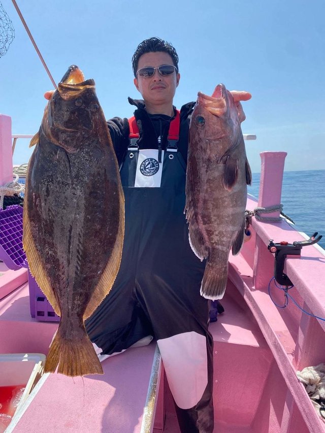 マハタ・ヒラメ