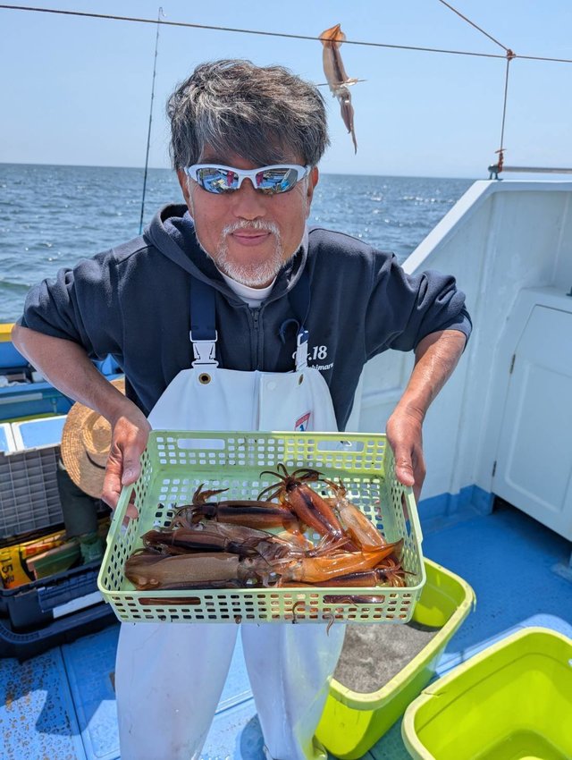 ムギイカ(スルメイカ)