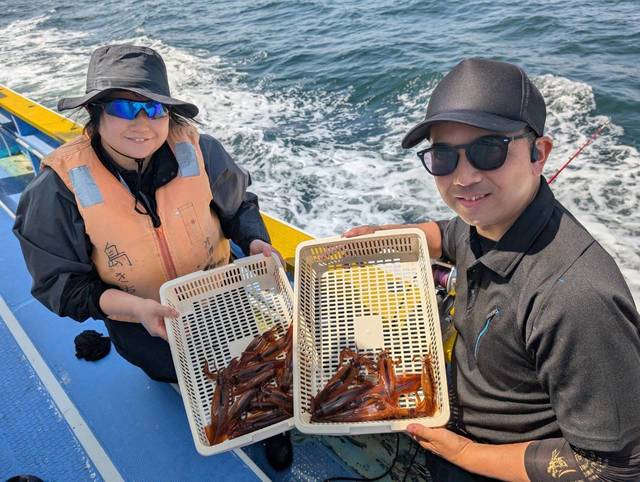 ムギイカ(スルメイカ)