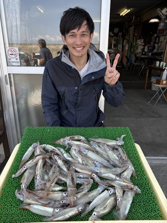 ムギイカ(スルメイカ)