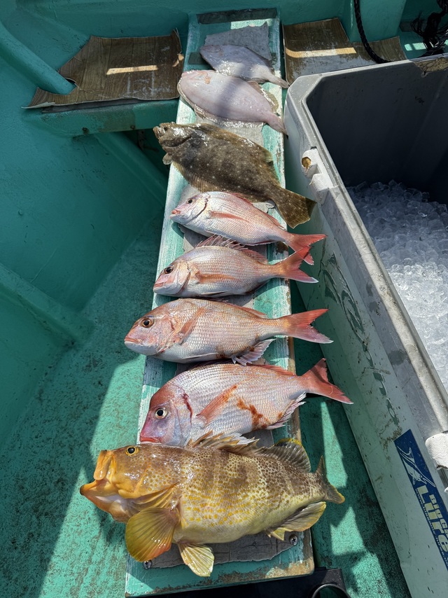 タイ(マダイ)・アオハタ・ヒラメ・ガンゾウヒラメ(ガンゾウビラメ)