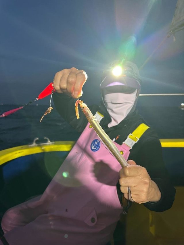 アナゴ(マアナゴ)