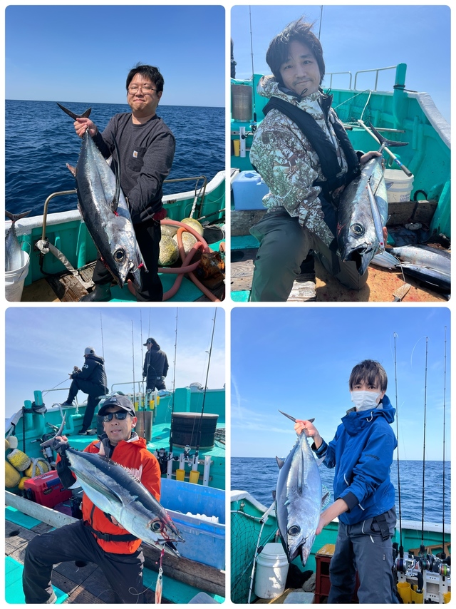 ビンチョウマグロ(ビンナガ)