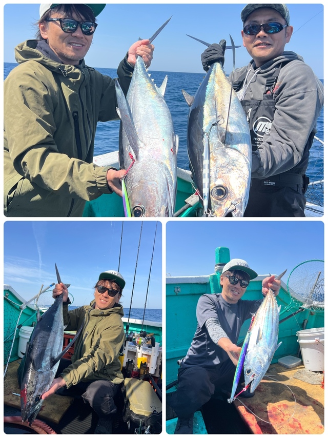 ビンチョウマグロ(ビンナガ)・カツオ