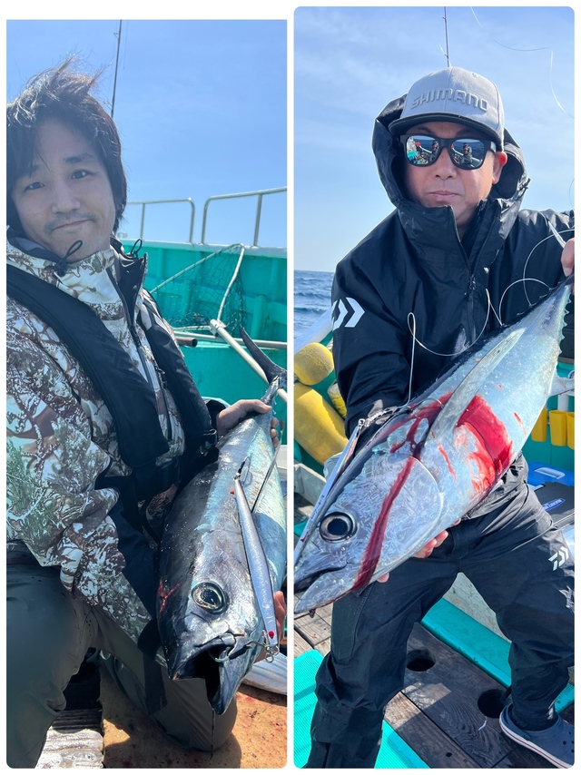 ビンチョウマグロ(ビンナガ)