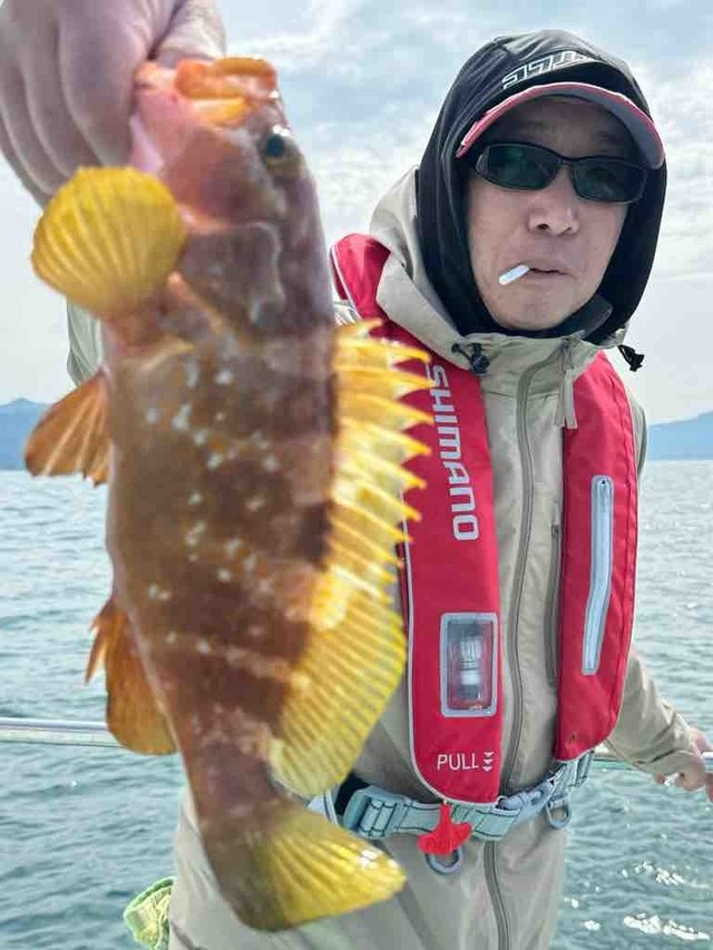 アコウ(キジハタ)