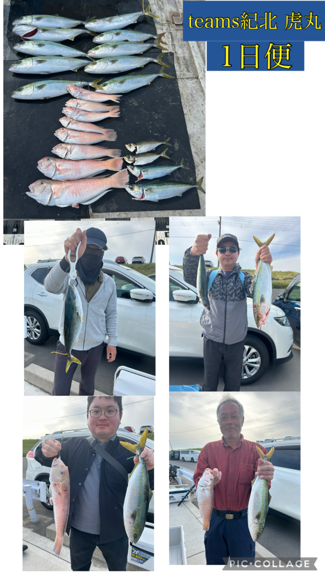 ハマチ(ブリ)・シロアマダイ・サバ(マサバ)