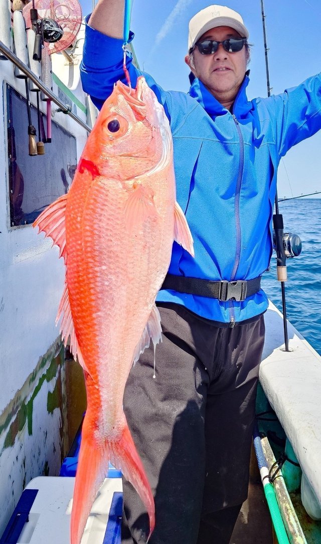 オナガダイ(ハマダイ)