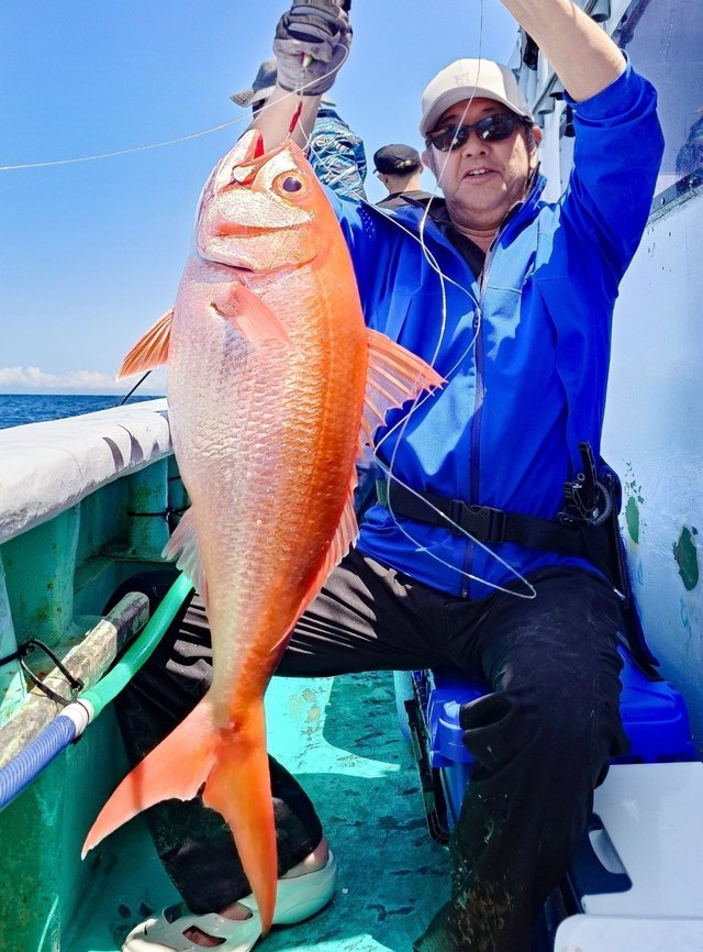 オオクチハマダイ