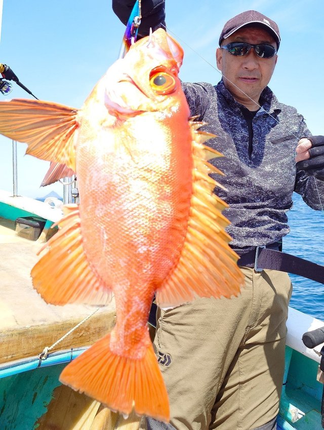 チカメキントキ