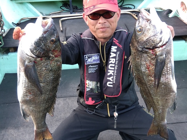 チヌ(クロダイ)