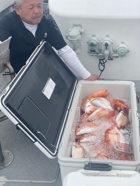 レンコ(キダイ)・ボッコ(カサゴ)