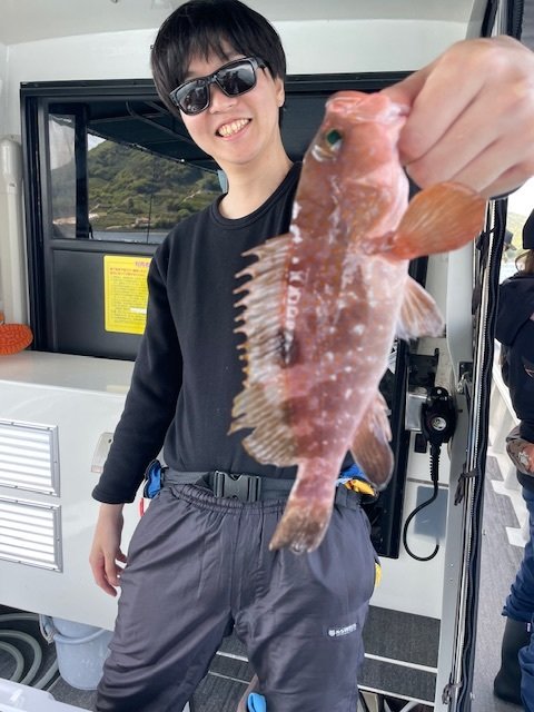 アコウ(キジハタ)