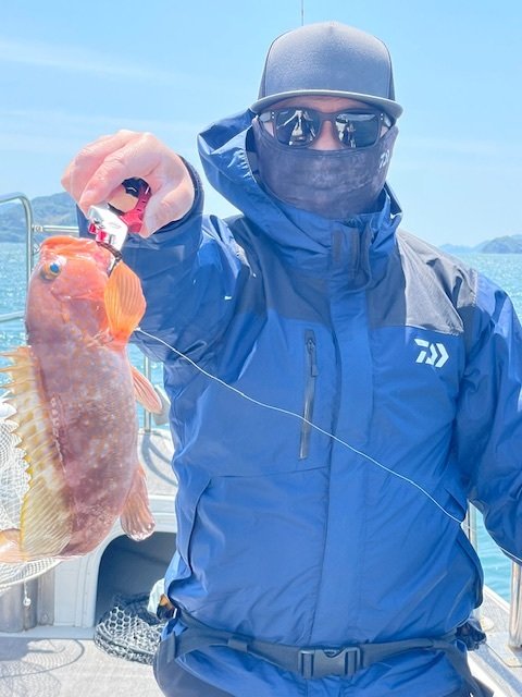 アコウ(キジハタ)