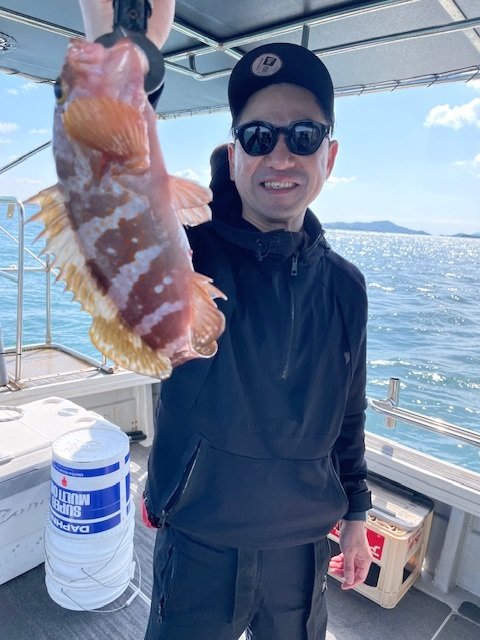 アコウ(キジハタ)