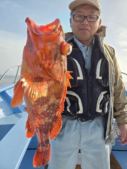 ウッカリカサゴ