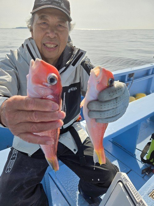 アマダイ(アカアマダイ)