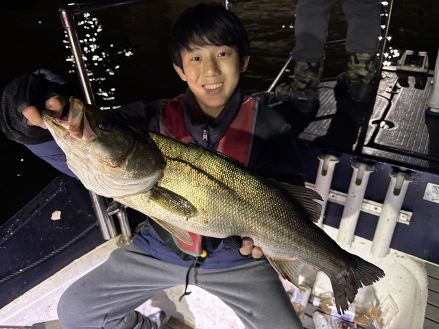 シーバス(スズキ)