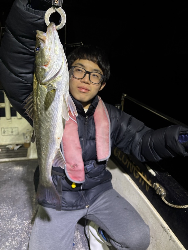 シーバス(スズキ)