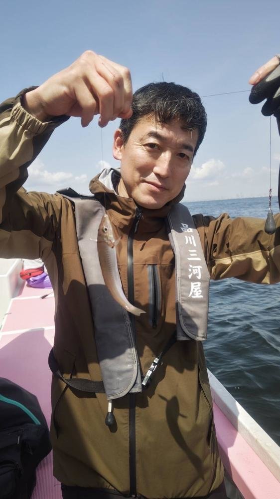 キス(シロギス)