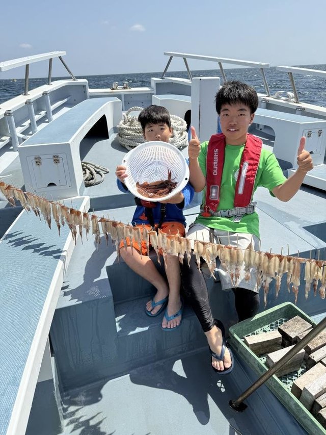 ムギイカ(スルメイカ)