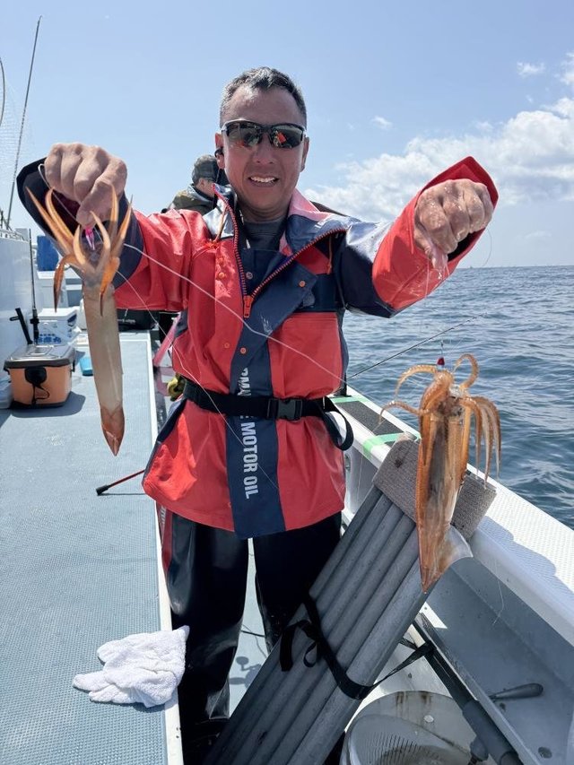 ムギイカ(スルメイカ)