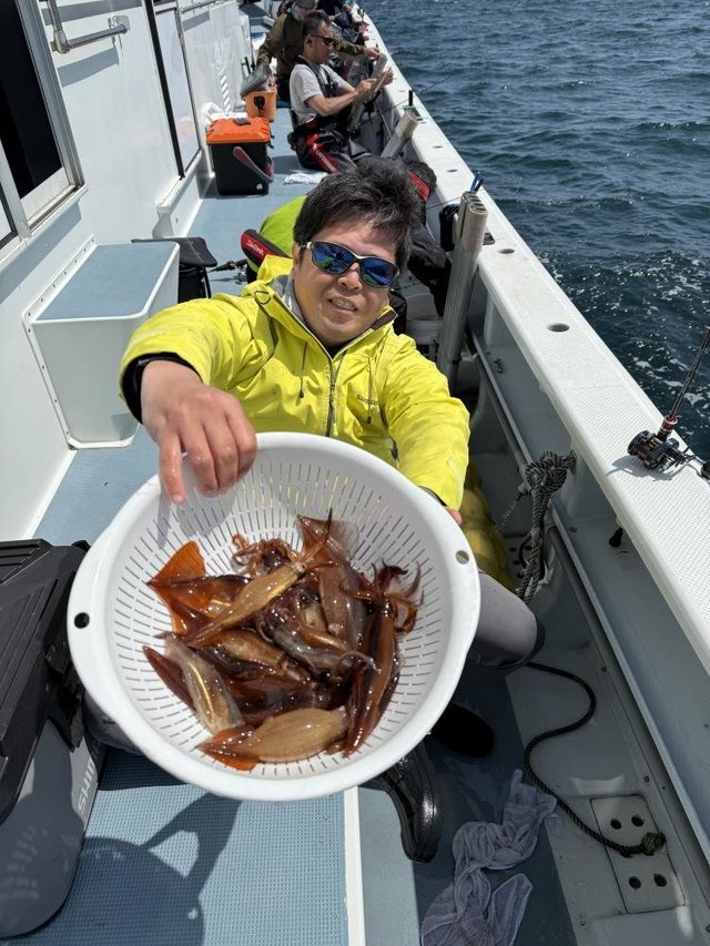 ムギイカ(スルメイカ)