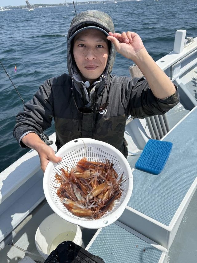 ムギイカ(スルメイカ)