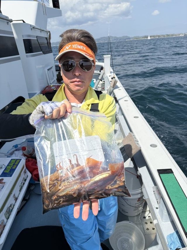 ムギイカ(スルメイカ)