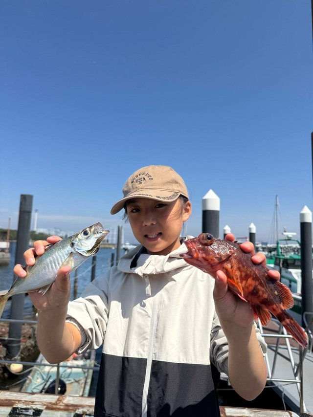 アジ(マアジ)・カサゴ