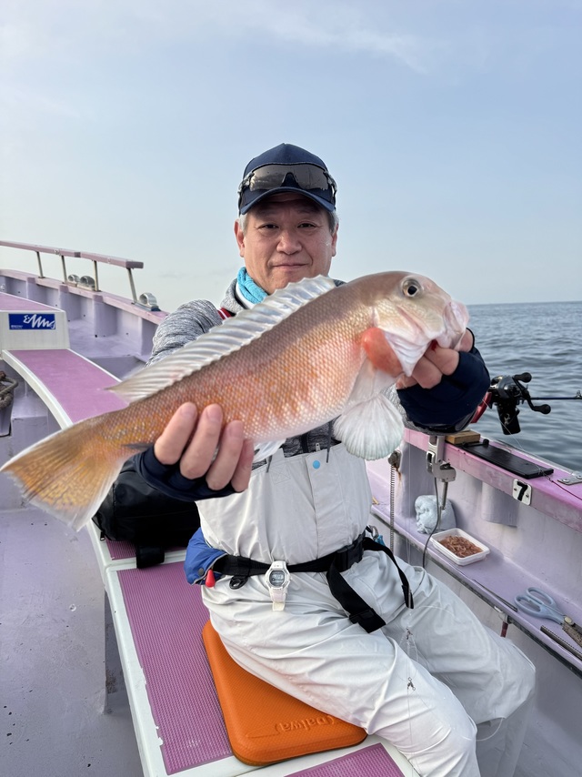 アマダイ(アカアマダイ)